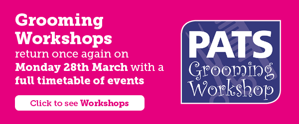 Grooming Workshops at PATS Sandown...
